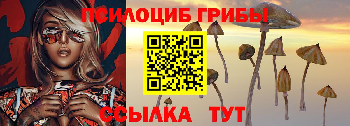 Псилоцибиновые грибы Psilocybe Сергиев Посад